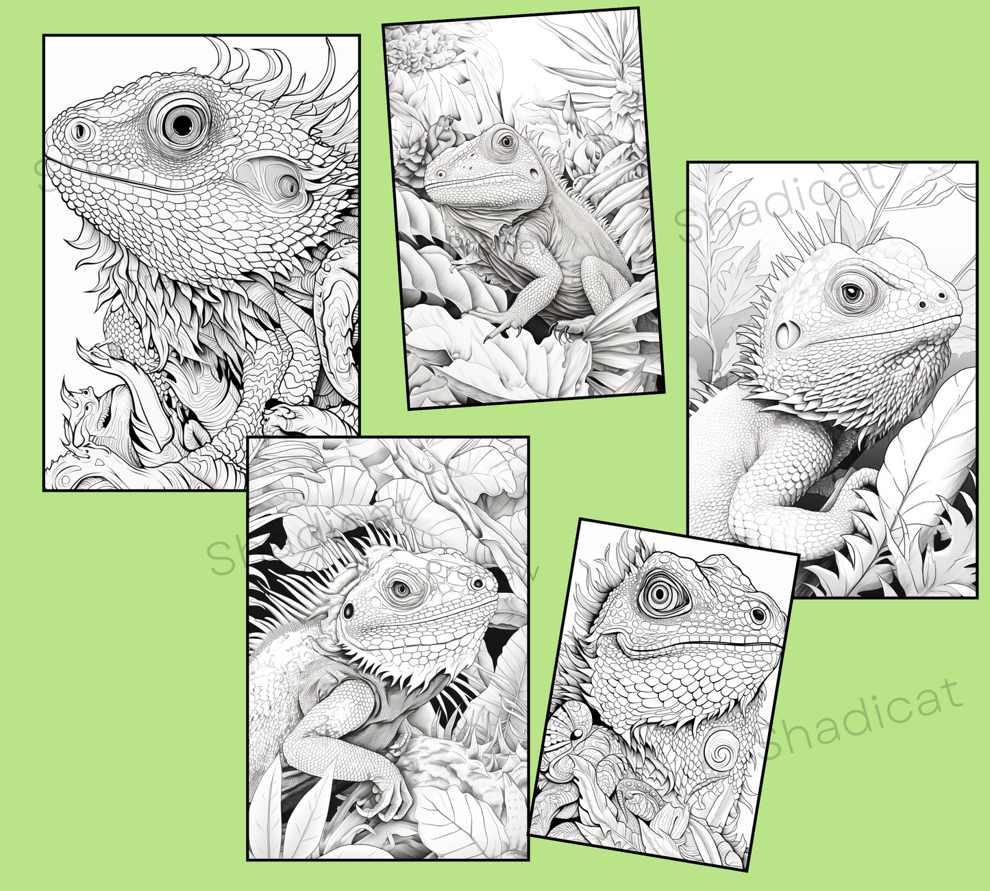 Adult Coloring Book | Bearded Dragon Coloring Book | Instant Download | Stress Relieving Craft | Printable Pdf File | Grayscale Coloring