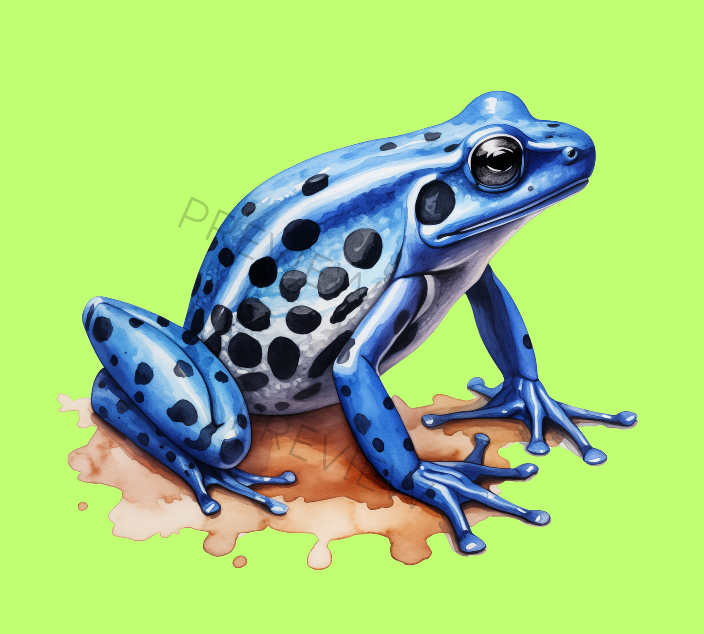 Frogs Clip Art | Beautiful Frog PNG | Green Frog Designs | Digital Frog Art | Commercial Use | Reptile Art | Frogs Art | Instant Download