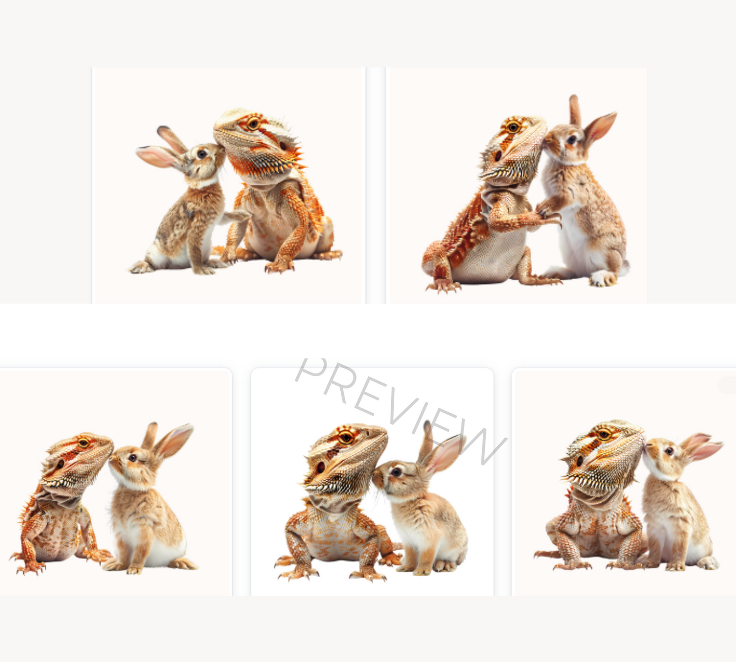 Bunny Clipart | Easter Clipart | Bunnies Png | Bearded Dragon | Cute Easter Animals | High Quality Pngs | Rabbit Clipart | Commercial Use