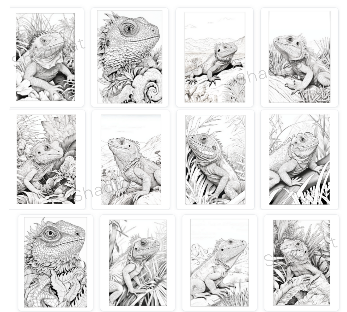 Adult Coloring Book | Bearded Dragon Coloring Book | Instant Download | Stress Relieving Craft | Printable Pdf File | Grayscale Coloring