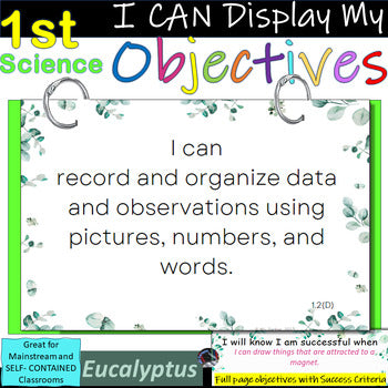 1st Grade SCIENCE~I Can Display My Objectives! Eucalyptus Border~TEKS~SUCCESS