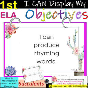1st Grade ELA~I Can Display My Objectives! TEKS~Succulents~SUCCESS Criteria