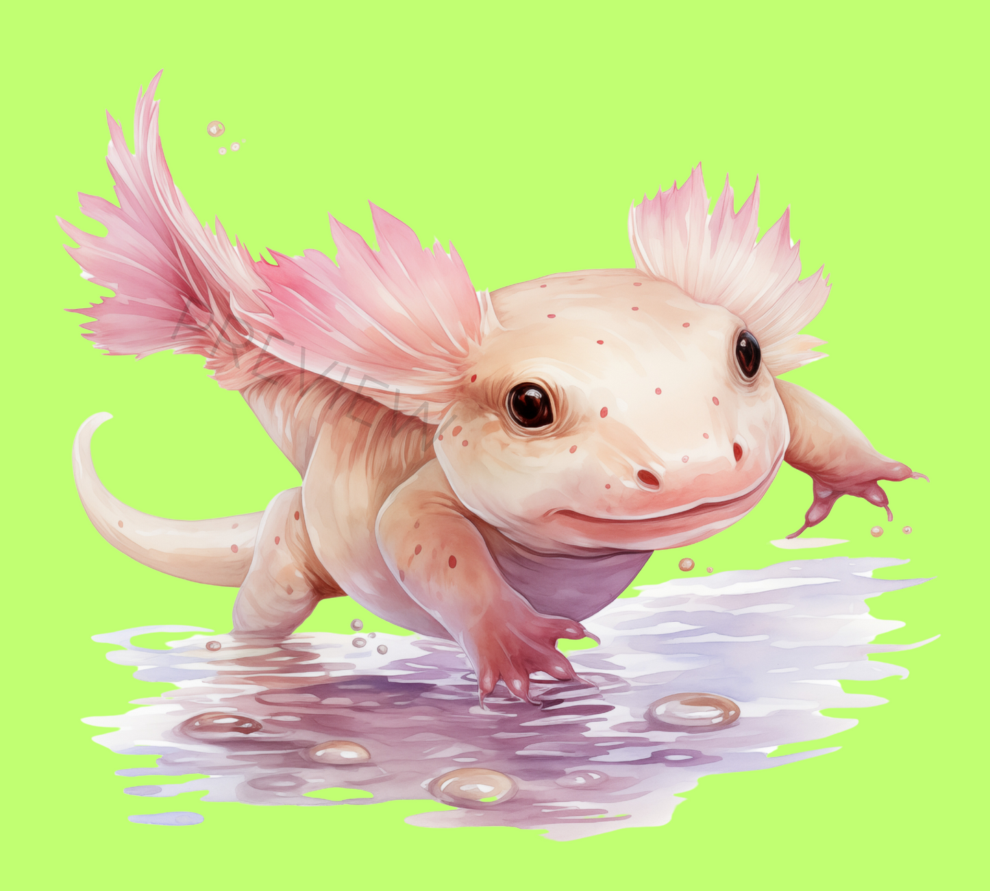 Axolotl PNG | Digital Download | Birthday Gift Her | Cute Axolotl Illustrations | Printable Stickers | Sublimation Design | Commercial Use