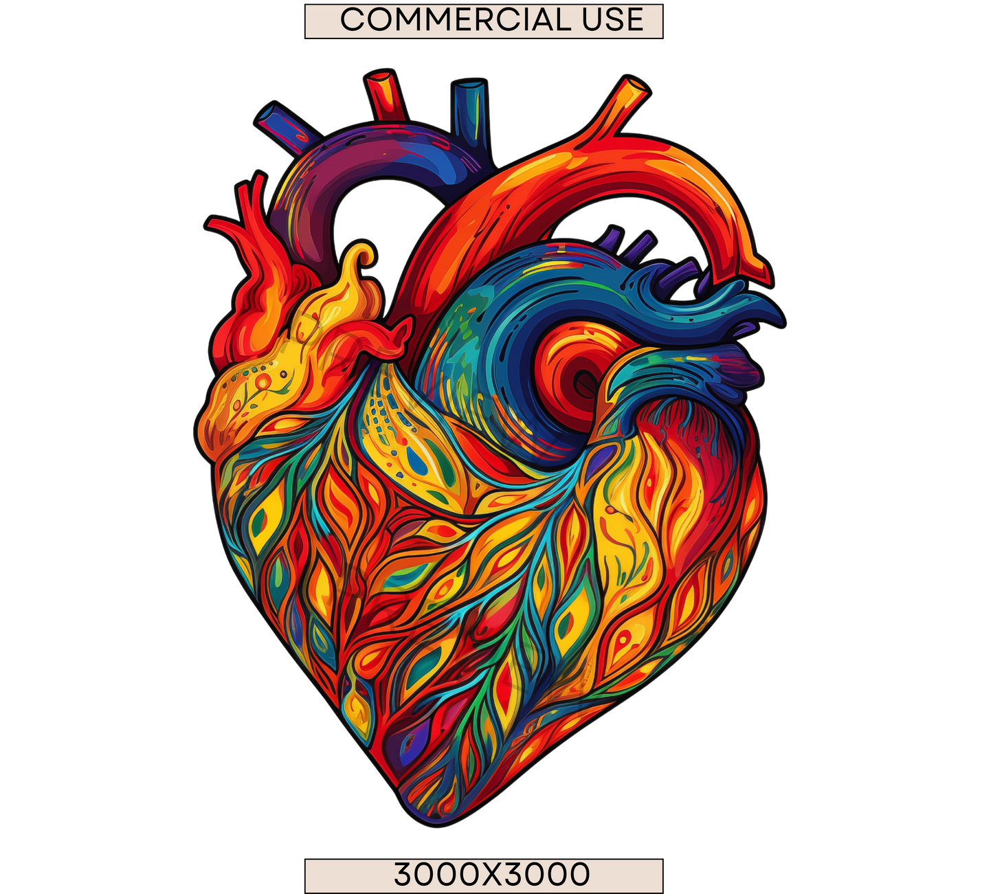 Groovy Human Heart | Anatomy Clipart | Heart Clipart | Medical Graphics | Anatomic Heart | Valentines Clip Art | Medical Png| Commercial Use