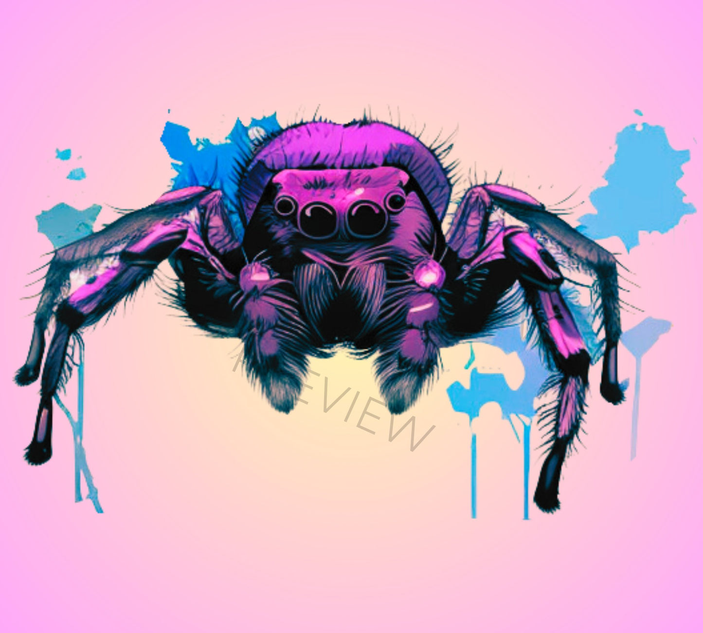 Watercolor Spider Clip Art | Cute Bug Png | Jumping Spider Clipart | Spider Watercolor Clipart Bundle | Poppin Pastel | Commercial Use - Shaddoze Designs by Darie